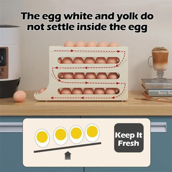 Refrigerator Egg Holder 2