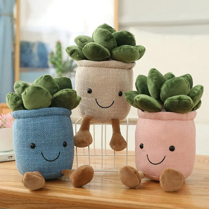 Plush Succulent Fluffy